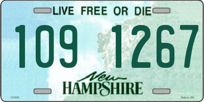 NH license plate 1091267