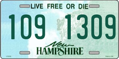 NH license plate 1091309
