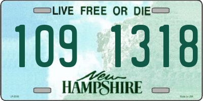 NH license plate 1091318