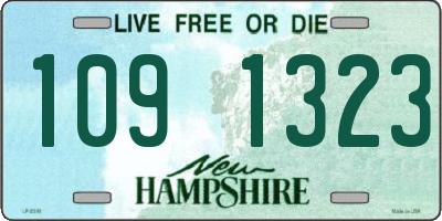 NH license plate 1091323