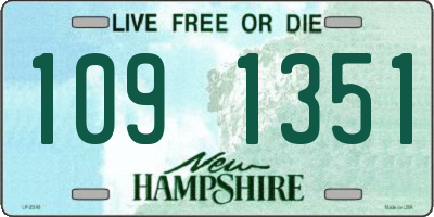NH license plate 1091351
