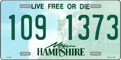 NH license plate 1091373