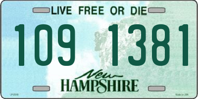 NH license plate 1091381
