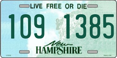 NH license plate 1091385