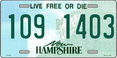 NH license plate 1091403