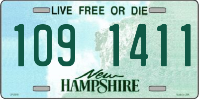 NH license plate 1091411