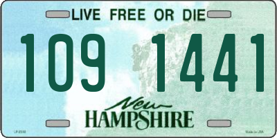 NH license plate 1091441