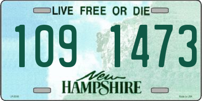 NH license plate 1091473