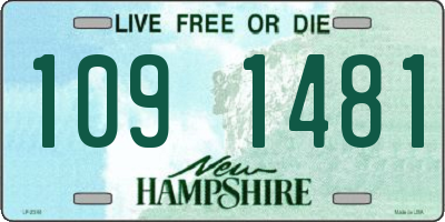 NH license plate 1091481