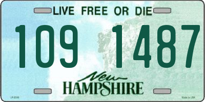 NH license plate 1091487