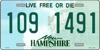 NH license plate 1091491