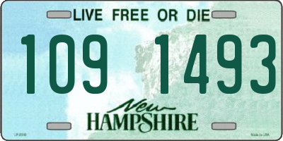 NH license plate 1091493