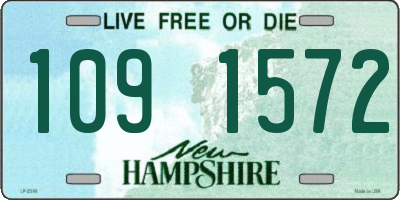 NH license plate 1091572