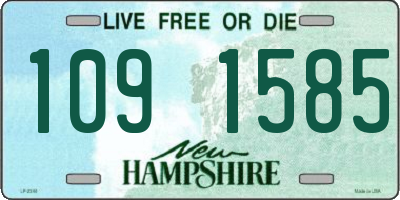 NH license plate 1091585