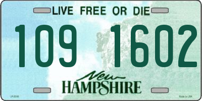 NH license plate 1091602
