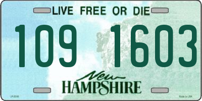 NH license plate 1091603