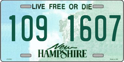 NH license plate 1091607