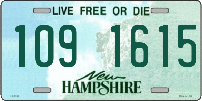 NH license plate 1091615