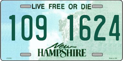 NH license plate 1091624