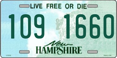 NH license plate 1091660
