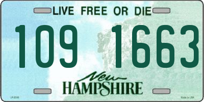 NH license plate 1091663