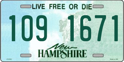 NH license plate 1091671