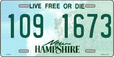 NH license plate 1091673