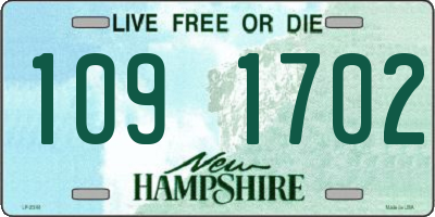 NH license plate 1091702