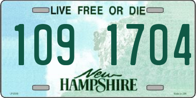 NH license plate 1091704