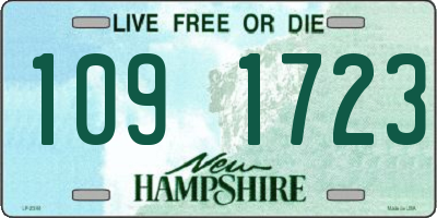 NH license plate 1091723