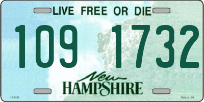 NH license plate 1091732