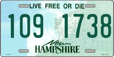 NH license plate 1091738