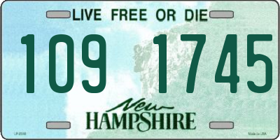 NH license plate 1091745