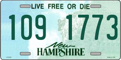 NH license plate 1091773