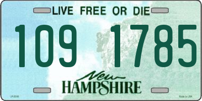 NH license plate 1091785