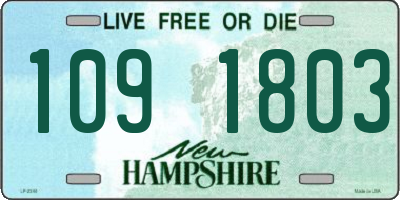 NH license plate 1091803