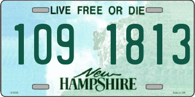 NH license plate 1091813
