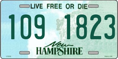 NH license plate 1091823