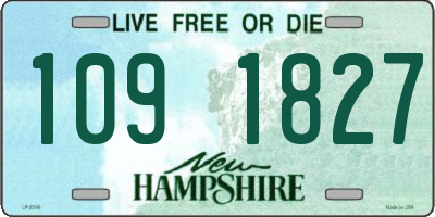 NH license plate 1091827