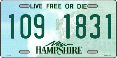 NH license plate 1091831