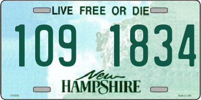 NH license plate 1091834