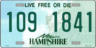 NH license plate 1091841
