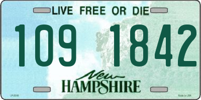 NH license plate 1091842