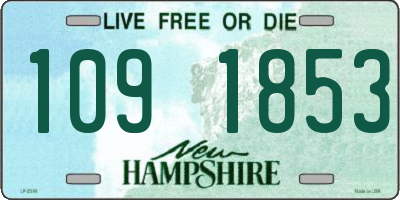 NH license plate 1091853