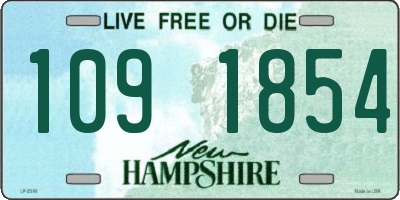 NH license plate 1091854