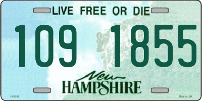 NH license plate 1091855