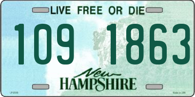 NH license plate 1091863