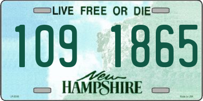 NH license plate 1091865