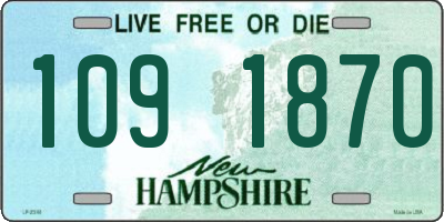 NH license plate 1091870