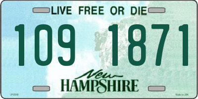 NH license plate 1091871